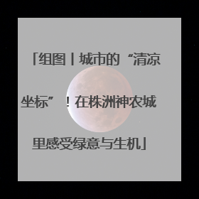 组图丨城市的“清凉坐标”！在株洲神农城里感受绿意与生机