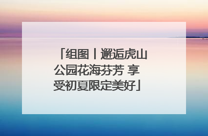 组图丨邂逅虎山公园花海芬芳 享受初夏限定美好
