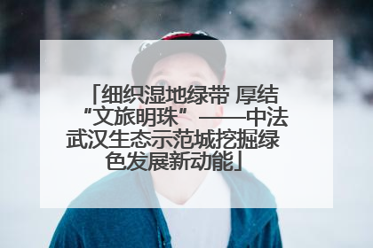 细织湿地绿带 厚结“文旅明珠”——中法武汉生态示范城挖掘绿色发展新动能