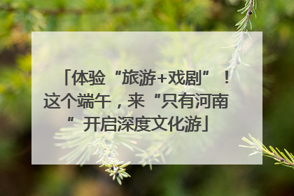 体验“旅游+戏剧”！这个端午，来“只有河南”开启深度文化游