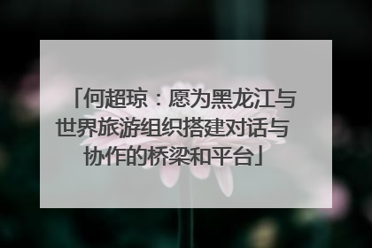 何超琼：愿为黑龙江与世界旅游组织搭建对话与协作的桥梁和平台