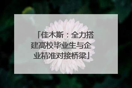 佳木斯：全力搭建高校毕业生与企业精准对接桥梁