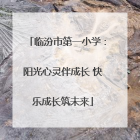 临汾市第一小学：阳光心灵伴成长 快乐成长筑未来
