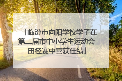 临汾市向阳学校学子在第二届市中小学生运动会田径赛中喜获佳绩