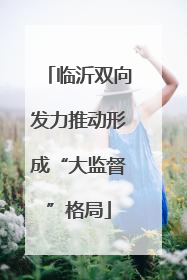 临沂双向发力推动形成“大监督”格局