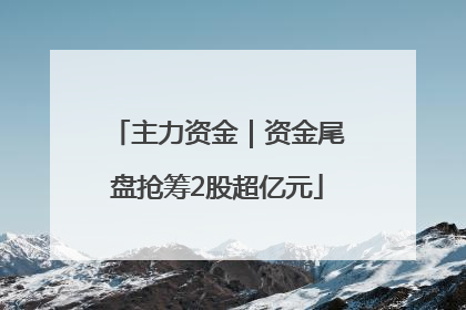 主力资金｜资金尾盘抢筹2股超亿元