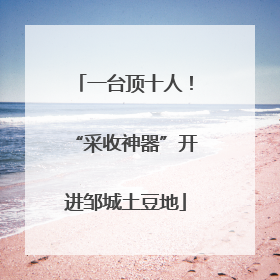 一台顶十人！“采收神器”开进邹城土豆地