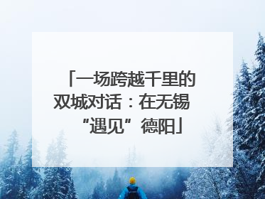 一场跨越千里的双城对话：在无锡“遇见”德阳
