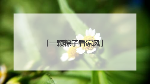 一颗粽子看家风