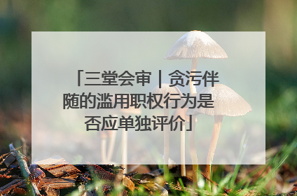 三堂会审｜贪污伴随的滥用职权行为是否应单独评价