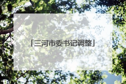三河市委书记调整