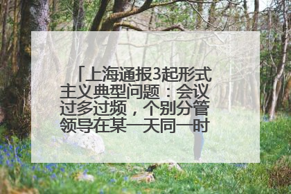 上海通报3起形式主义典型问题：会议过多过频，个别分管领导在某一天同一时段需参加3个会议