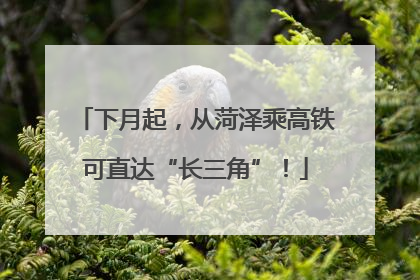 下月起，从菏泽乘高铁可直达“长三角”！