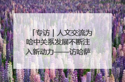 专访｜人文交流为哈中关系发展不断注入新动力——访哈萨克斯坦文化与信息部部长巴拉耶娃