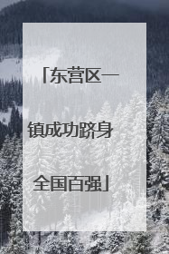 东营区一镇成功跻身全国百强