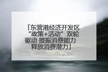 东营港经济开发区“政策+活动”双轮驱动 提振消费能力 释放消费潜力