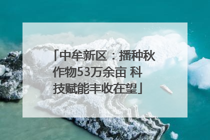中牟新区：播种秋作物53万余亩 科技赋能丰收在望