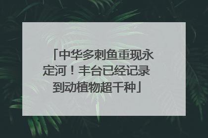 中华多刺鱼重现永定河！丰台已经记录到动植物超千种