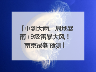 中到大雨、局地暴雨+9级雷暴大风！南京最新预测