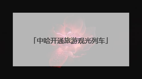 中哈开通旅游观光列车