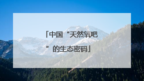 中国“天然氧吧”的生态密码