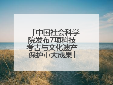 中国社会科学院发布7项科技考古与文化遗产保护重大成果