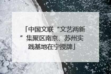 中国文联“文艺两新”集聚区南京、苏州实践基地在宁授牌