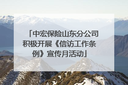 中宏保险山东分公司积极开展《信访工作条例》宣传月活动