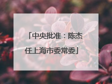 中央批准：陈杰任上海市委常委