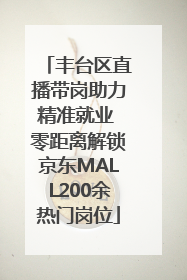 丰台区直播带岗助力精准就业 零距离解锁京东MALL200余热门岗位