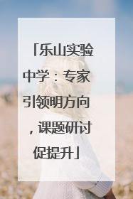 乐山实验中学：专家引领明方向，课题研讨促提升