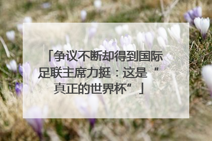 争议不断却得到国际足联主席力挺：这是“真正的世界杯”
