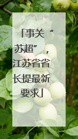 事关“苏超”，江苏省省长提最新要求