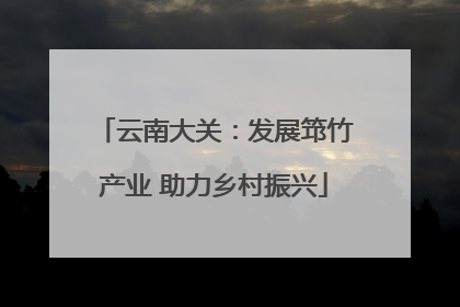 云南大关：发展筇竹产业 助力乡村振兴