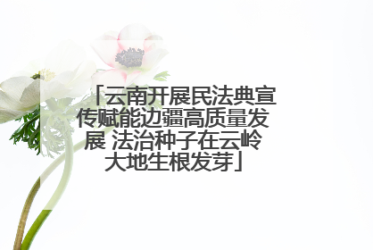 云南开展民法典宣传赋能边疆高质量发展 法治种子在云岭大地生根发芽