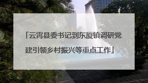 云霄县委书记到东厦镇调研党建引领乡村振兴等重点工作