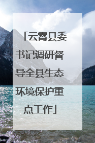 云霄县委书记调研督导全县生态环境保护重点工作