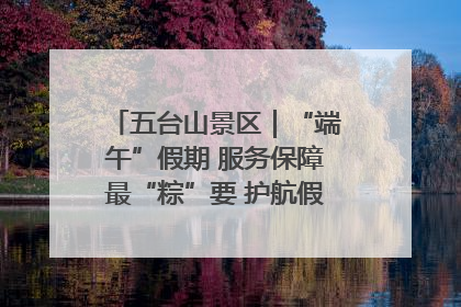 五台山景区｜“端午”假期 服务保障最“粽”要 护航假期“不打烊”