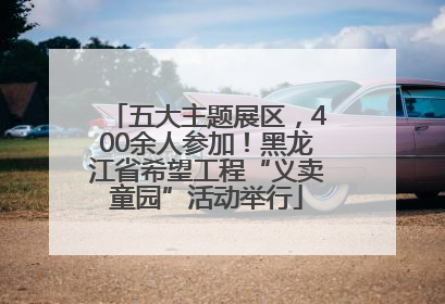 五大主题展区，400余人参加！黑龙江省希望工程“义卖童园”活动举行
