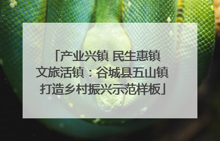 产业兴镇 民生惠镇 文旅活镇：谷城县五山镇打造乡村振兴示范样板