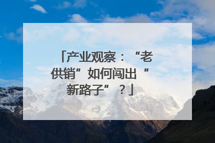 产业观察：“老供销”如何闯出“新路子”？