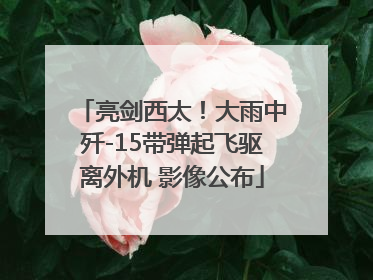 亮剑西太！大雨中歼-15带弹起飞驱离外机 影像公布