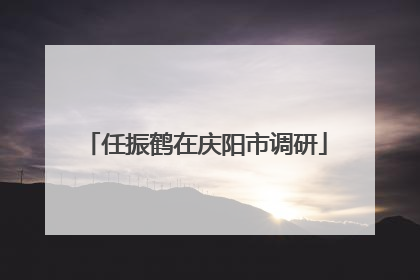 任振鹤在庆阳市调研