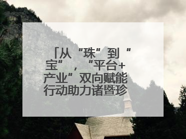 从“珠”到“宝”，“平台+产业”双向赋能行动助力诸暨珍珠升级蜕变