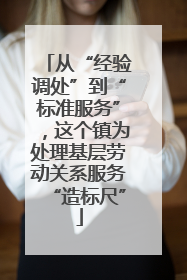 从“经验调处”到“标准服务”，这个镇为处理基层劳动关系服务“造标尺”