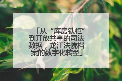 从“库房铁柜”到开放共享的司法数据，龙江法院档案的数字化转型