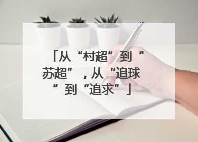 从“村超”到“苏超”，从“追球”到“追求”
