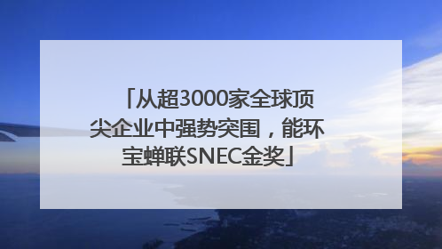 从超3000家全球顶尖企业中强势突围，能环宝蝉联SNEC金奖