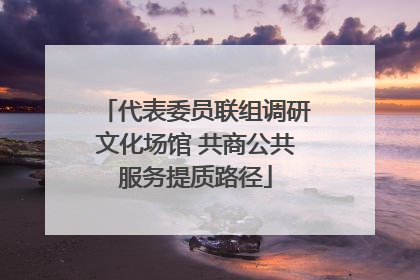 代表委员联组调研文化场馆 共商公共服务提质路径