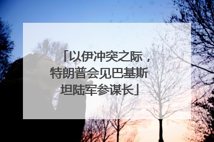 以伊冲突之际，特朗普会见巴基斯坦陆军参谋长